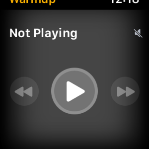 Simulator Screen Shot - Apple Watch Series 8 (45mm) - 2023-02-26 at 12.18.06.png