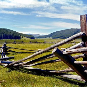 MT76_6M_1Fence.jpg