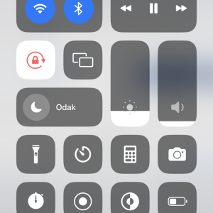 A7ACB1D3-6E54-4F6C-AD9C-B5C115A4F78C.png