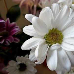 P1030075.jpg
