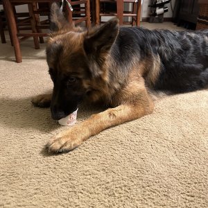 IMG_1072.jpeg