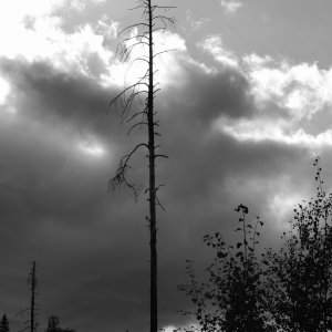 480E55C4-E82B-4EAE-9D2B-3E1EBDF59342.jpeg