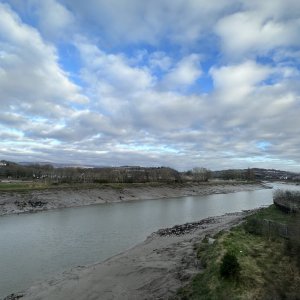 4158C40F-6E8C-43BC-8D46-06B6FDDEBEE0.jpeg