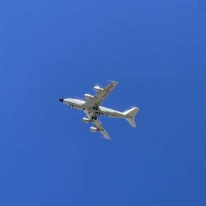 DA016545-C664-4B00-8CD1-DE82DA2B5023.jpeg
