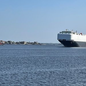 IMG_1164.jpg