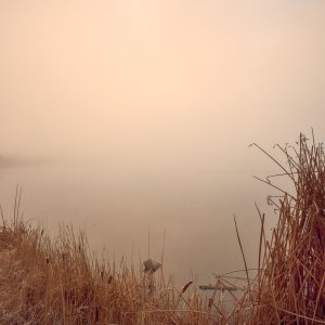 L1002140.jpg
