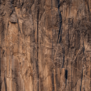 1D601F1D-AD11-4F63-94F3-68F26C4D0F0A.png