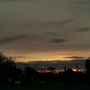 IMG_1146.jpg