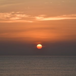 850_1762 copy.JPG
