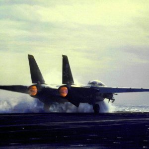 tomcat1.jpg