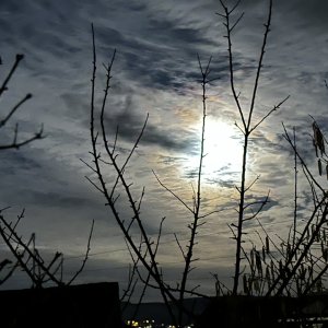 83A2C866-FA63-4AAE-890F-9D2FF48BEA49.jpeg