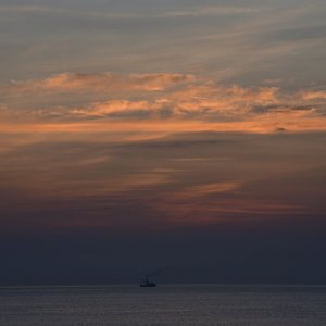 850_1749 copy.JPG
