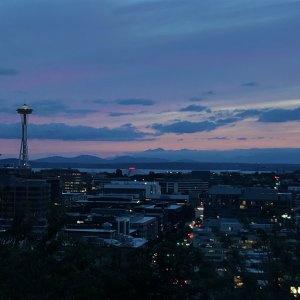 IMG_4178.jpg
