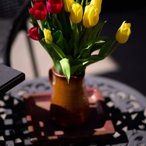 L1002205.jpg