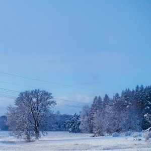 1BF1E7E2-C83D-4998-ABC5-BBA71A6E491E.jpeg