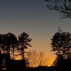 IMG_3939.jpg