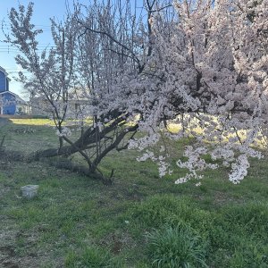 DA8F7675-5AA0-4200-AC60-D0EFE9AA66E4.jpeg