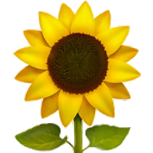 Flower2.png