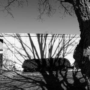 DSCF0579.jpg