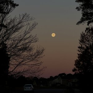 IMG_4056.jpg