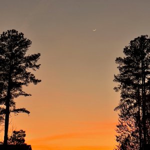 IMG_4398.jpg
