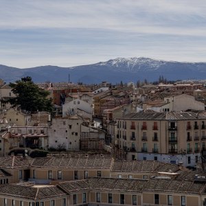 IMG_3813.jpeg