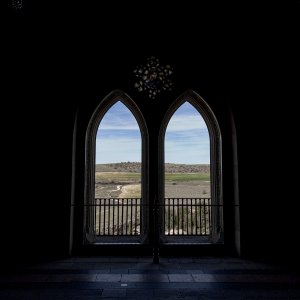 IMG_3932.jpeg