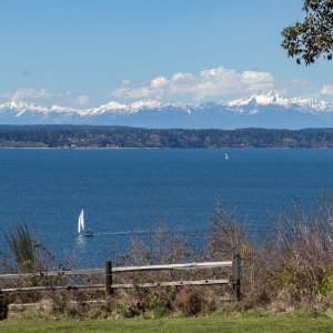 IMG_1533.jpg