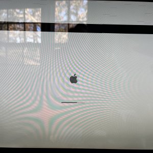 Screen Artifacts.jpg