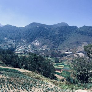 IMG_3749.JPG