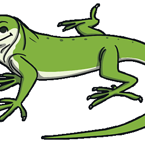 green-anole-lizard_ver_1.png