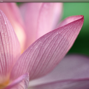 Screen Shot 2023-04-04.png