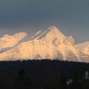 P1030122B.jpg