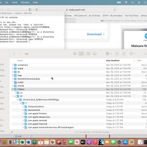 screen dump of problem temp folder.jpeg