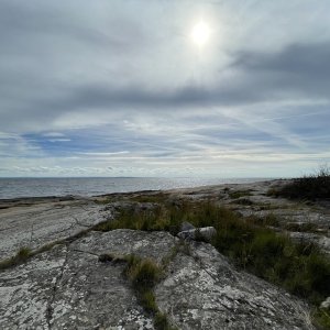 IMG_0313.jpeg