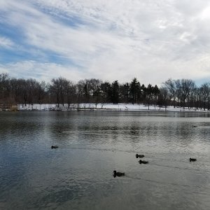 20170320_161050.jpg