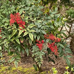 unnamed-6.jpg