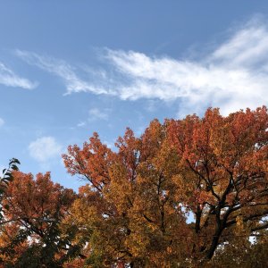 IMG_0182.jpeg