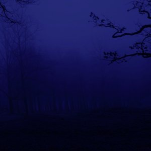 Screen Shot 2023-04-09 at 15.53.02.jpg