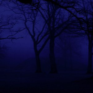 Screen Shot 2023-04-09 at 15.52.35.jpg