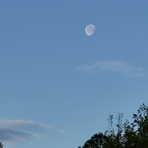 IMG_4673.jpg