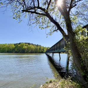 IMG_4689.jpg