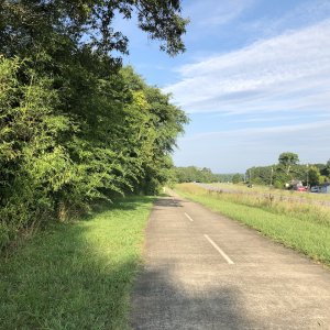 IMG_4603.jpeg