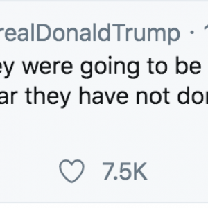 Screen Shot 2019-08-13 at 10.24.12 AM.png