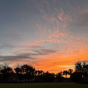 IMG_9578.jpeg