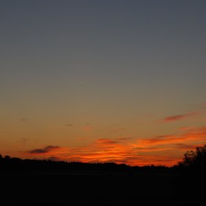 9E9F782F-0698-4938-84AD-73BB2FFA8558.jpeg