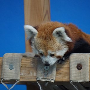 5D3ED84B-F40D-41C1-8484-A800FC9E146D.jpeg