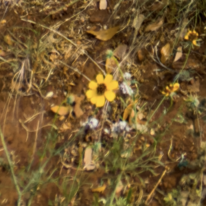 IMG_0780.png