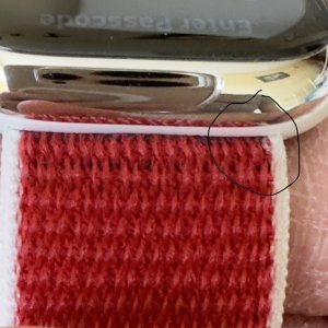 IMG_0019.jpeg