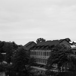 DSC_0078.jpeg